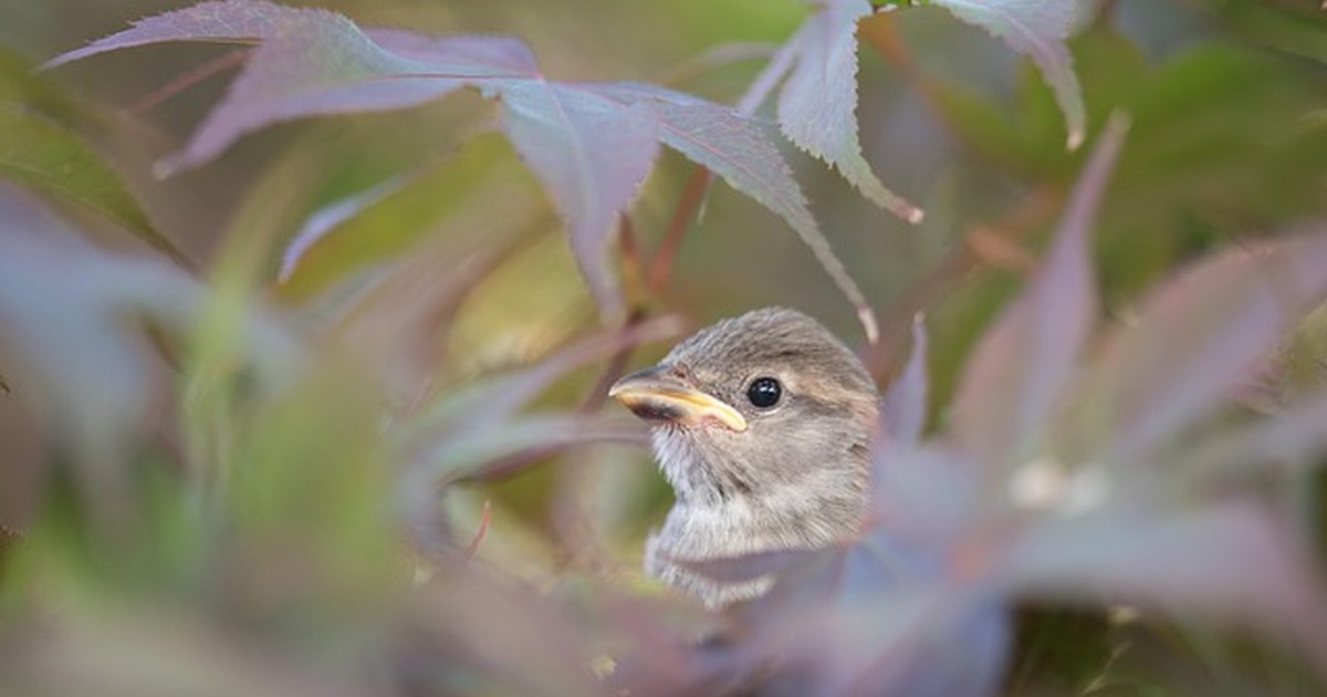No asumas deudas: cuándo aceptar herencia en Andalucía